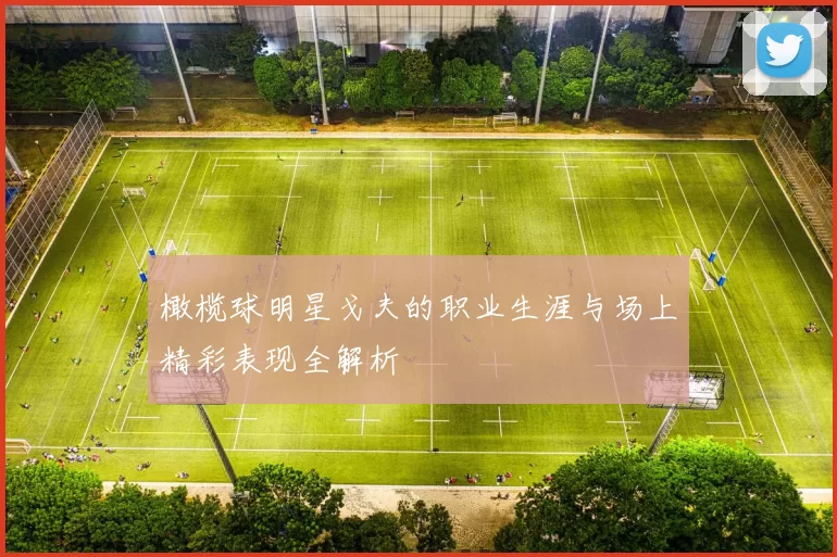 橄榄球明星戈夫的职业生涯与场上精彩表现全解析